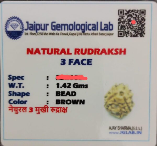 3 mukhi nepali rudraksha with certificate