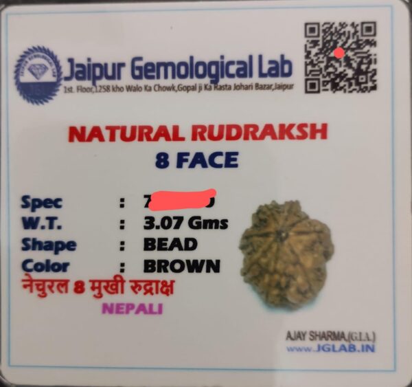 8 mukhi nepali rudraksha with certificate