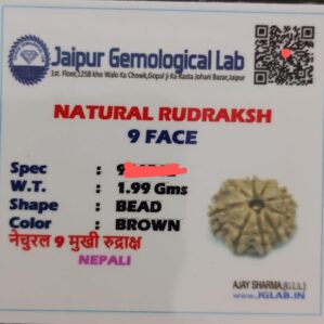 9 mukhi nepali rudraksha with certificate