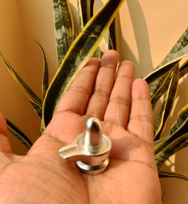 Parad shivling 60 grams original mercury shivling